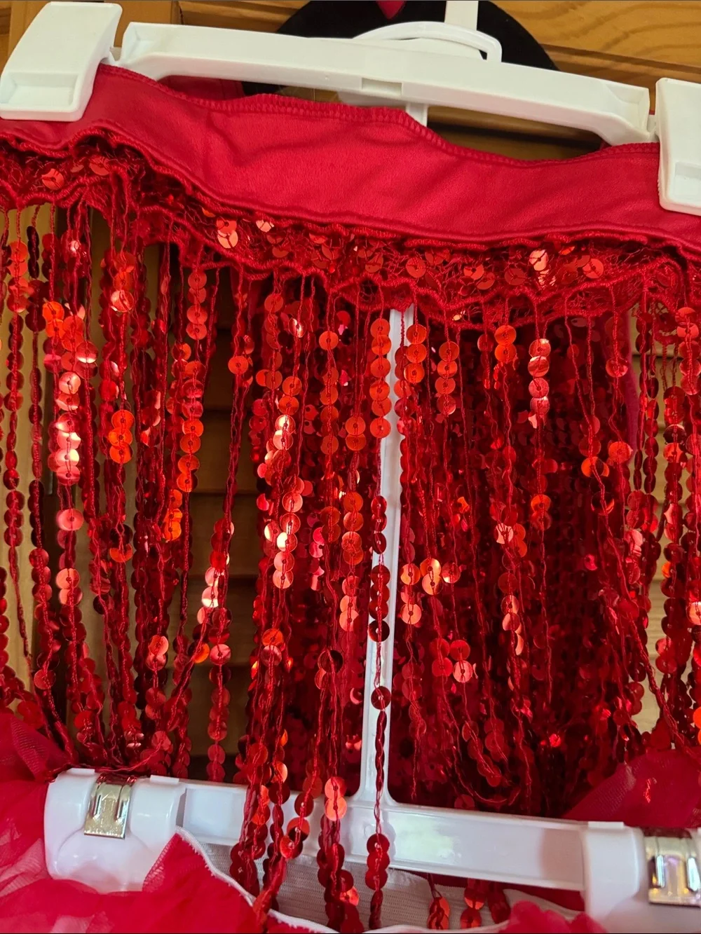 Red Sequin Fringe Tutu Dress with Rosette Accent